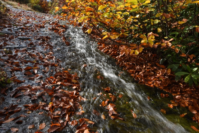 Doğu Karadeniz sonbaharda da cezbediyor 9