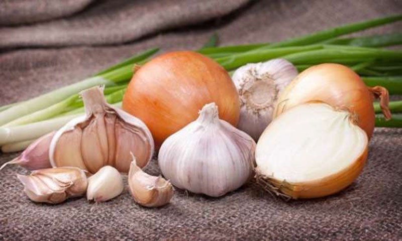 Kainat eczanesinde yaratılan antibiyotikler 1