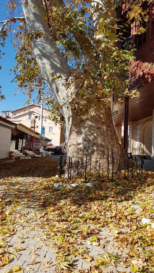 Bediüzzaman'ın Barla'daki evini hiç böyle gördünüz mü? 16