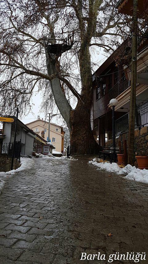 Bediüzzaman'ın Barla'daki evini hiç böyle gördünüz mü? 23