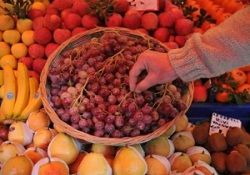 Posalı besinler kolon kanserinden koruyor