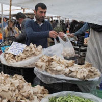 Pazarlarda yeni dönem