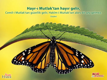 Risale-i Nur'dan vecizeli duvar kağıdı - [indir]