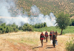 PKK'nın uyuşturucu tarlaları yakıldı