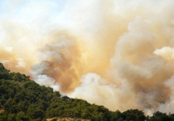 Orman yangınlarına müdahale süresi 15 dakikaya indi