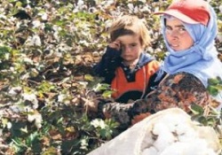 Kavurucu sıcakta 25 TL'ye çalışıyorlar