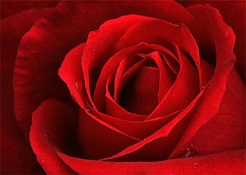 Oruçlu için iki sevinç vardır