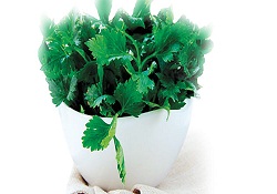 Hastalanmamak İçin Yumurta Ve Maydanoz Tüketin