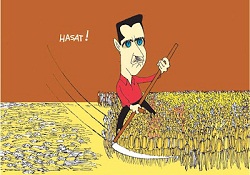 Suriye'de Hasat