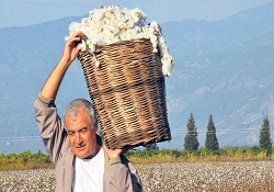 Kırsal kalkınma desteği 42 bin kişiye iş sağlad