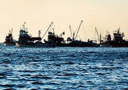 Mahkeme yasağı kaldırdı trolcüler Adalar'a akın etti