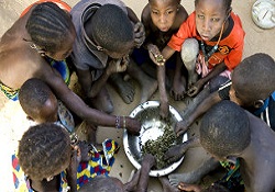 Batı Afrika'da yetersiz beslenme alarmı
