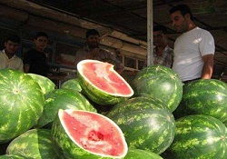 İndirim şampiyonu karpuz
