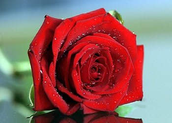 Üstün olana bakınca aşağıda olana da bakın