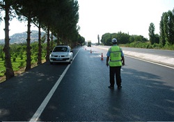 Rüzgarı önlemek için ağaç diktiler