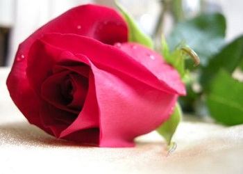 Ümmetime Ramazanda beş şey ihsan edildi