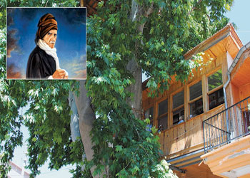 Üstadım taleben beni rahatsız ediyor!