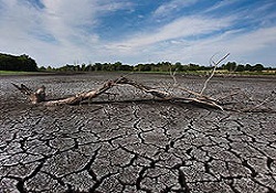 Ortadoğu'da 'Su savaşları' tehlikesi
