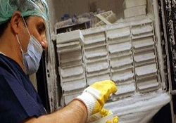 Kolon kanerine karşı lifli gıdalar tüketin