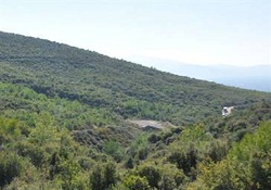 Silifkede 2B Arazi Satışları Devam Ediyor