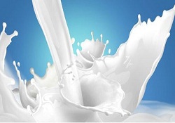 Temmuz ayında süt üretimi geriledi