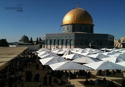 Filistinliler: Mescid-i Aksa sahipsiz değil