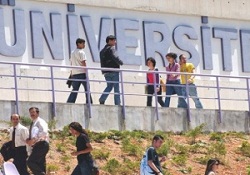 Üniversiteler Erasmus'u sevdi