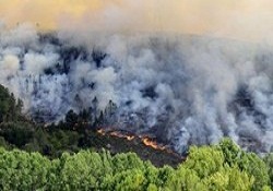 İspanya yangınla boğuşuyor