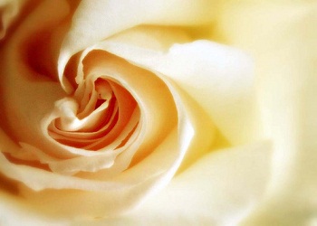 Oruç fitneye karşı keffarettir