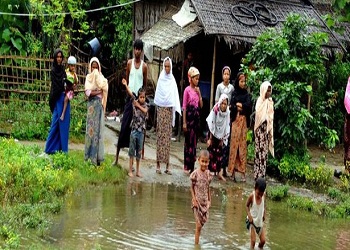 Rohingya Müslümanları'nın durumu içler acısı