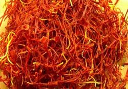 Birçok hastalığın çaresi: Safran