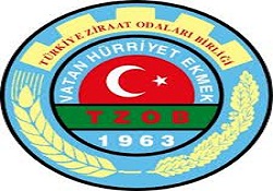 Kaba yem açığı 14 milyon ton