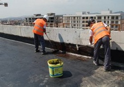 Çatı Uçmalarına Yeşil Çatı İle Çözüm
