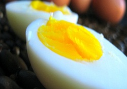 Yumurta ihracatında hedefe ramak kaldı