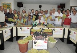 Egenin 2012 Yılı Üzüm Rekoltesi 247 Bin 500 Ton