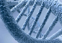 DNA'dan şüphelilerin saç ve göz rengi tespit edilecek