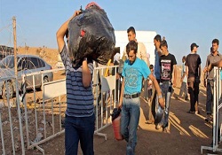 47 Suriyeli asker Türkiye'ye sığındı