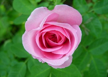 Sizin de eğleneceğiniz gün bayramlardır