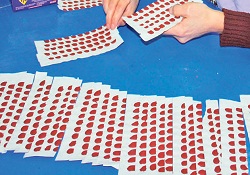 Yutan, bir gün içinde ölüyor
