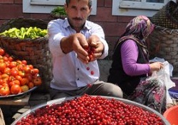 Derde Deva Kızılcık Pazar Tezgahında