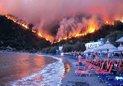 Sakız'da 146 bin dönüm arazi yandı