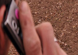 Cep telefonu klozetten daha kirli!