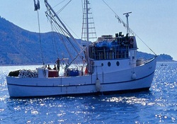 Balıkçılar 24 metre sınırına tepkili