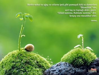 Risale-i Nur'dan vecizeli duvar kağıdı - [indir]