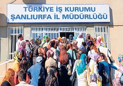 İşsizlik Fonu'nun parası işsizden çok GAP'a yaradı