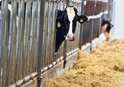 Büyük vergi indirimi!