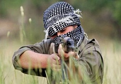 PKK bir ayda 325 kayıp verdi