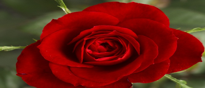 Biriyle kardeşleştiğin zaman şunları sor