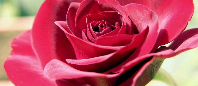 Kim, rızkının Allah tarafından genişletilmesini isterse