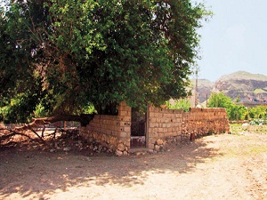 Hasankeyf'in sahabe valisine büyük vefasızlık